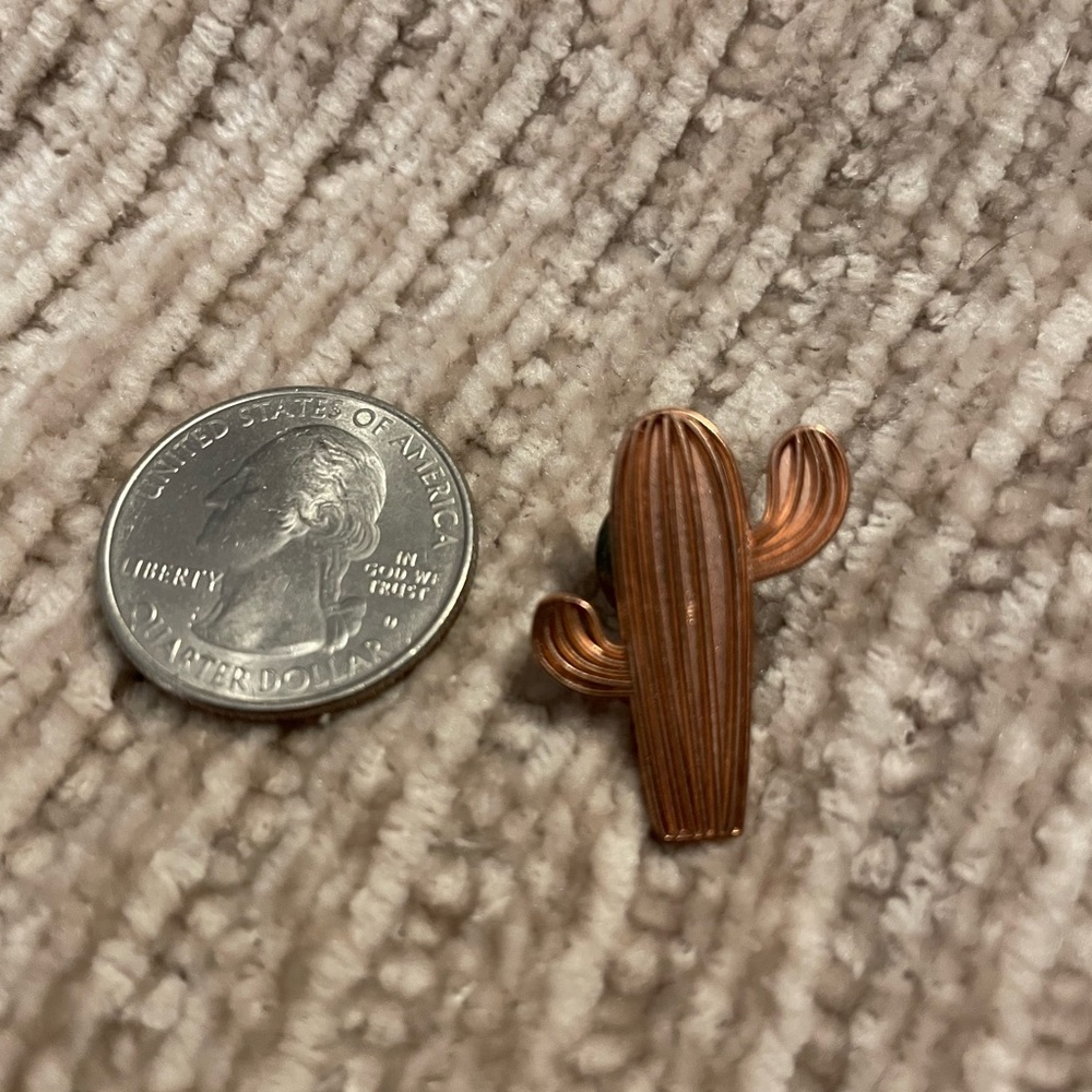 Saguaro pin